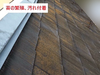 塗装劣化　苔発生