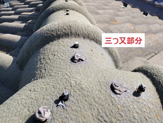 モニエル三つ又