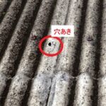 大波スレート穴あき