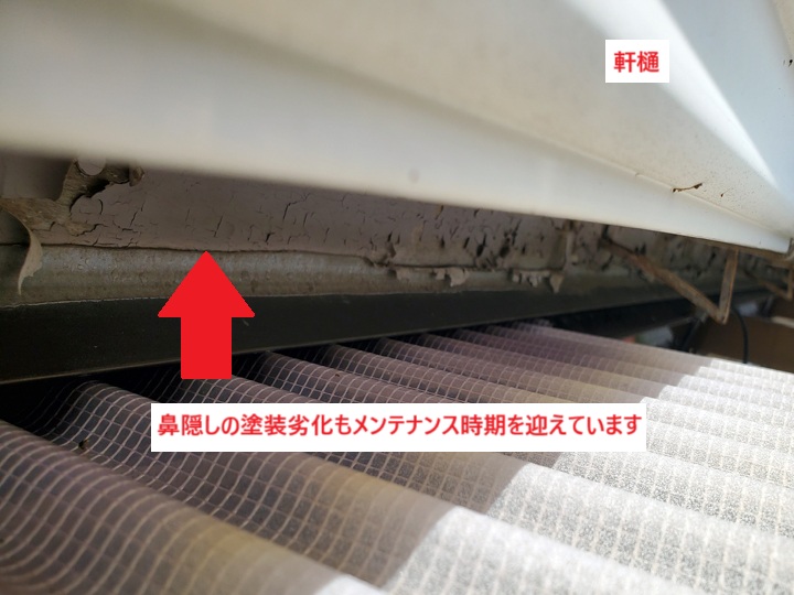 鼻隠しの傷み（塗装劣化）