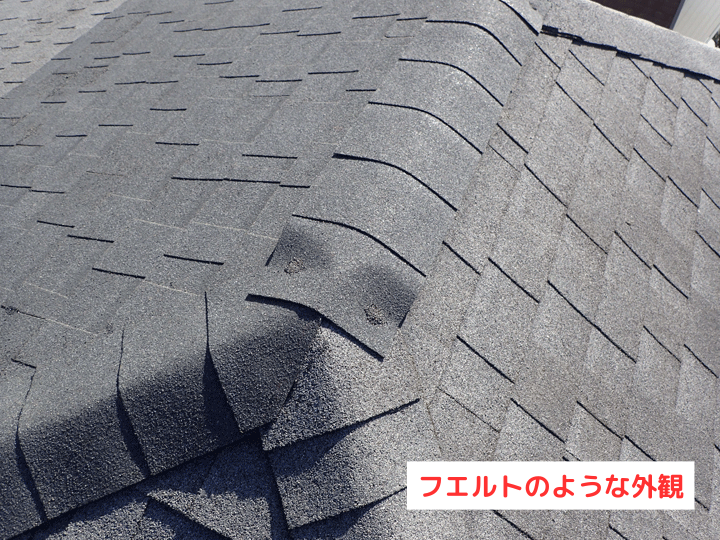 フエルトのような外観