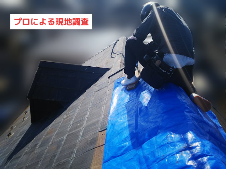 プロによる現地調査