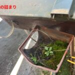 雨樋の詰まり