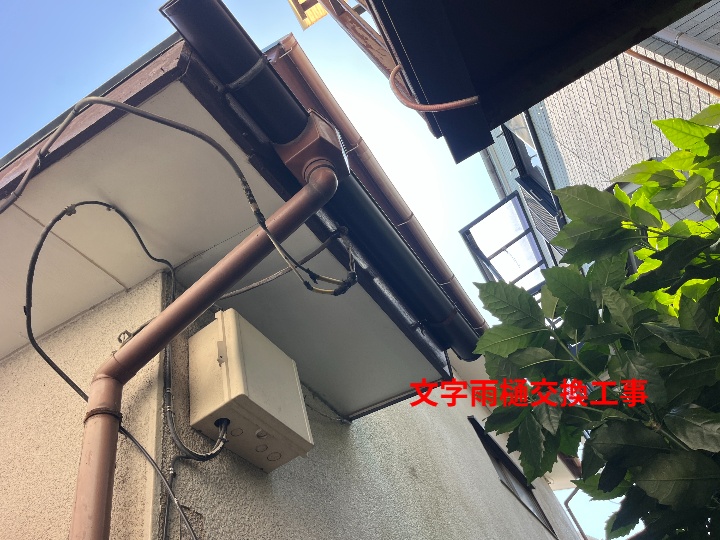 雨樋交換