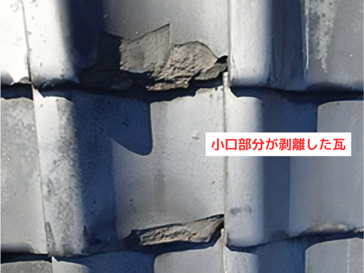 小口部分が剥離した瓦（凍害）