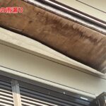 軒天からの雨漏り