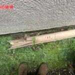 雨樋の破損