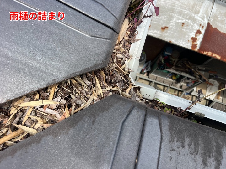 雨樋の詰まり