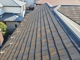 黄色の苔が生えた屋根