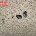 破損部分の拡大確認