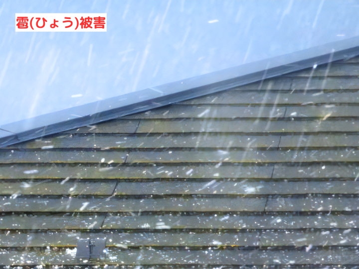 雹(ひょう)被害