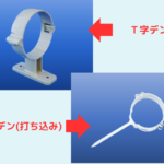 デンデンの種類