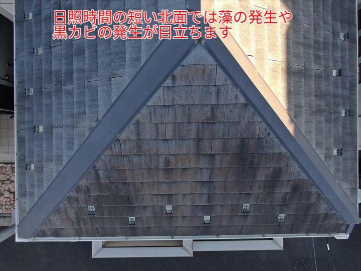 苔や黒カビの発生