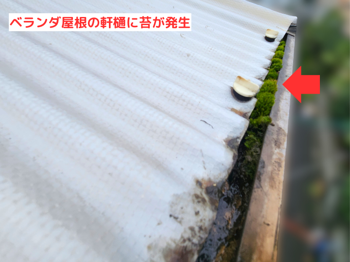 ベランダ屋根の軒樋に苔が発生