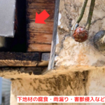 下地材の腐食・雨漏り・害獣侵入などの恐れ