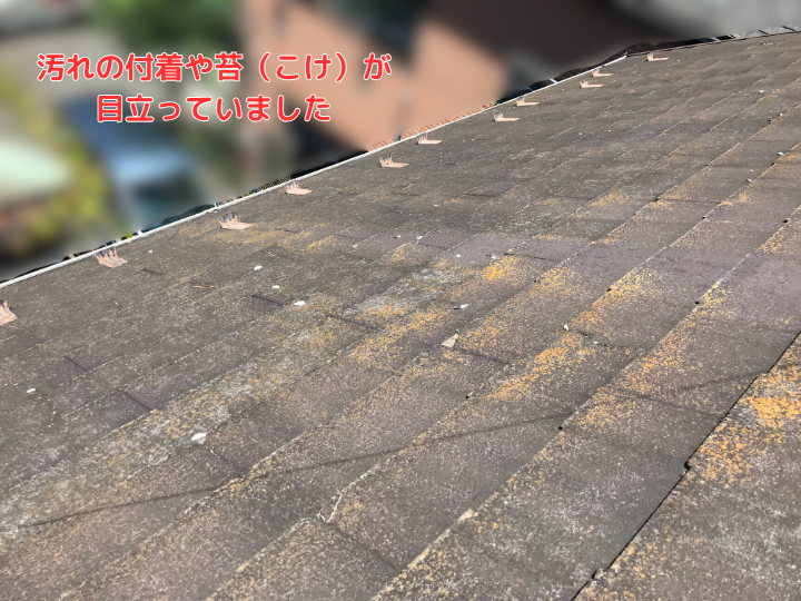 汚れの付着や苔（こけ）が 目立っていました