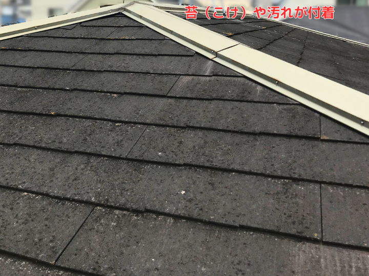 苔（こけ）や汚れが付着