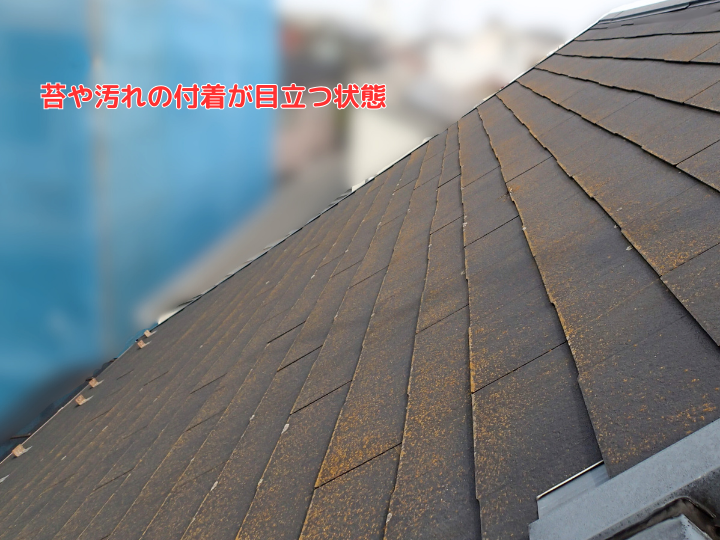 苔や汚れの付着が目立つ状態