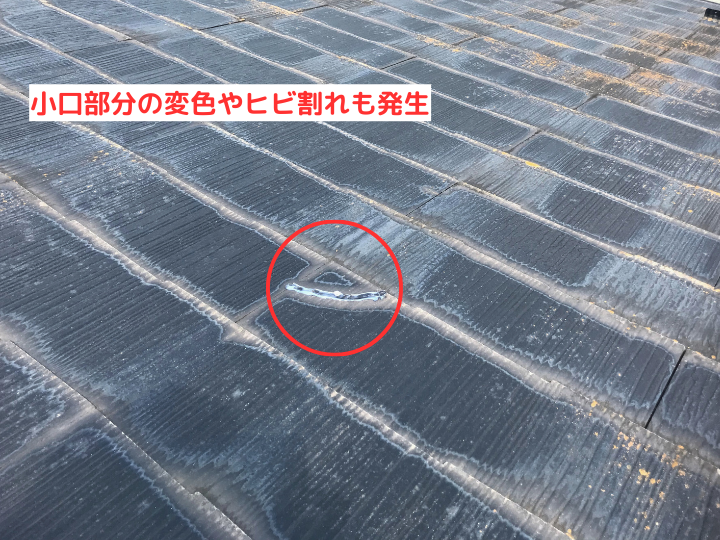 小口部分の変色やヒビ割れも発生