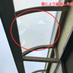 雹被害で破損