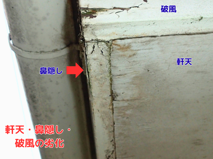 軒天・鼻隠し・破風の劣化