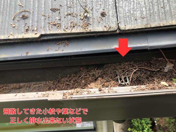 落ち葉や枝などで正常な排水が難しい状態 