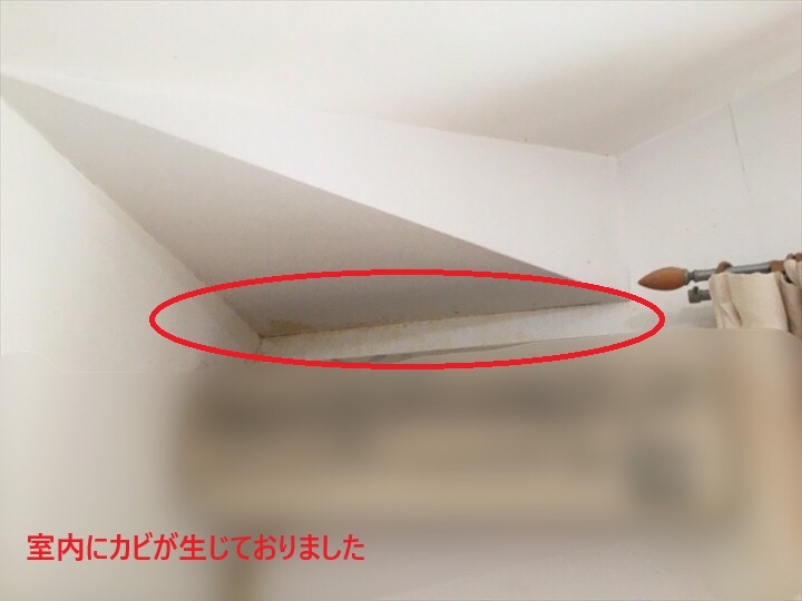室内カビ