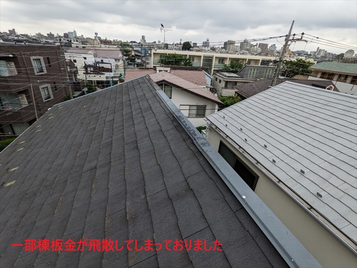 飛散しておりました