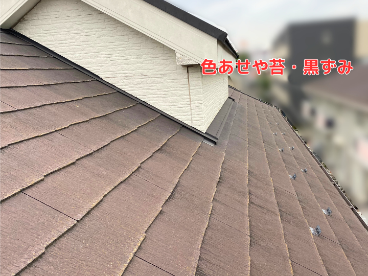 色あせや苔・黒ずみ