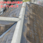 苔(こけ)や汚れの 付着が目立つ