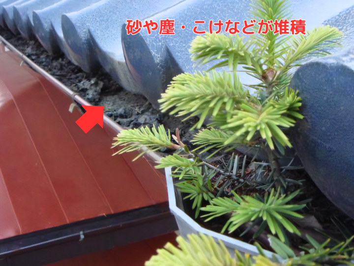 砂や塵・こけなどが堆積