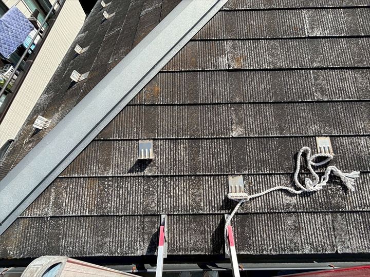 現地調査の様子