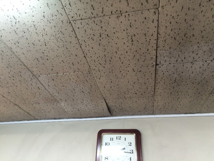 天井材の変色とたわみ