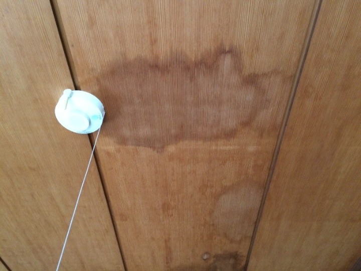 天井に広がる染みの確認