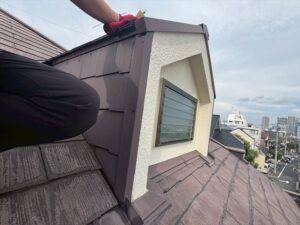 鳩小屋（ドーマー）周りの点検