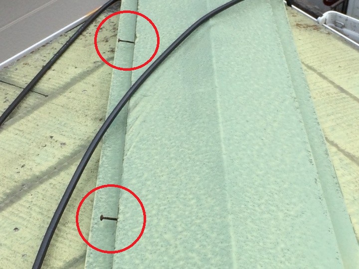 棟板金の釘抜けを確認