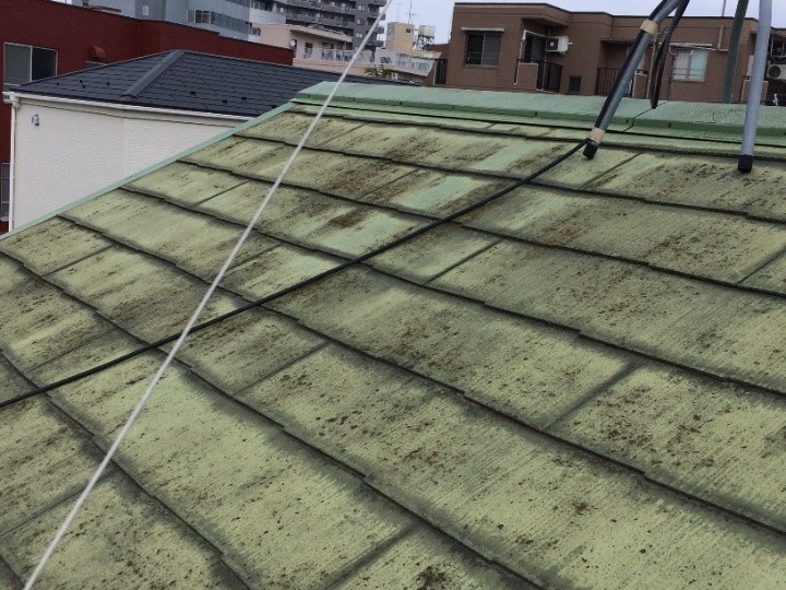 屋根全面の苔・汚れの付着