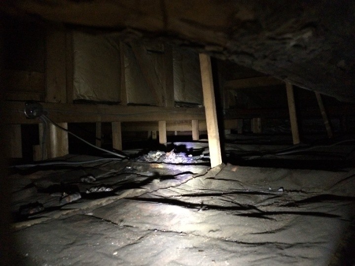 小屋裏内部の状態