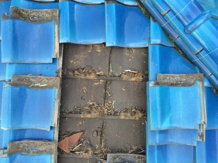 瓦を部分的に取り外して内部を確認