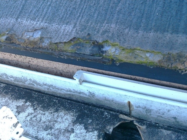 軒先部分の腐食と苔の付着