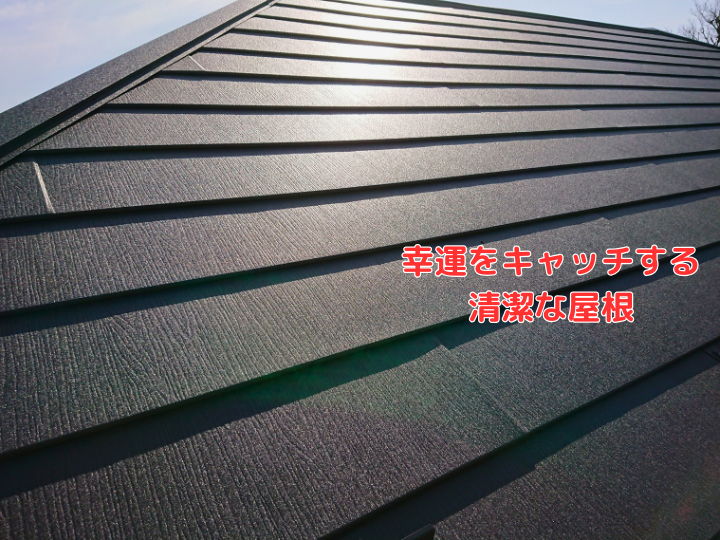 幸運をキャッチする清潔な屋根