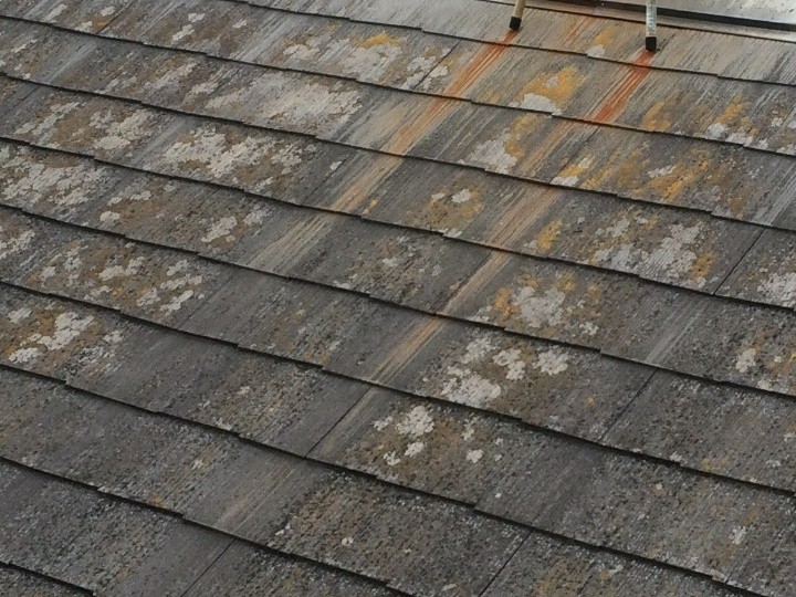 スレートの拡大調査