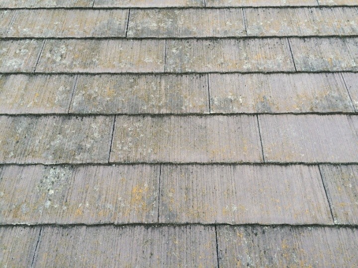 苔が繁殖したスレート表面