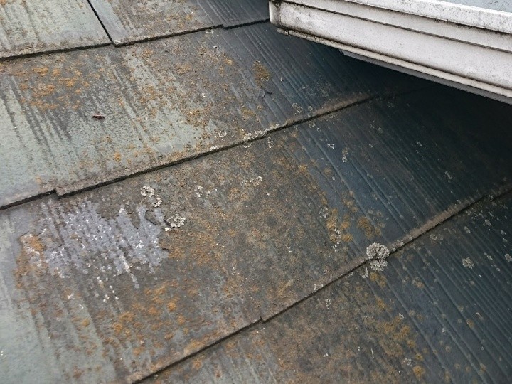 スレート表面の苔と塗膜の剥がれ