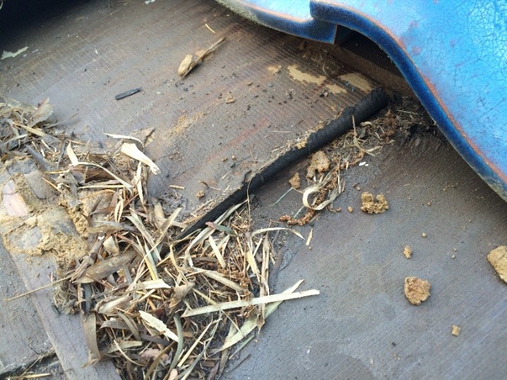 防水紙の裂けと腐食部分の確認