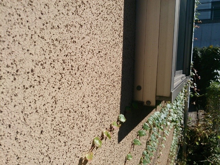 外壁の汚れとツタの付着