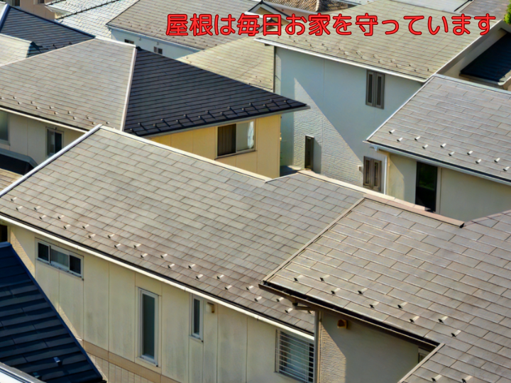 屋根は毎日お家を守っています