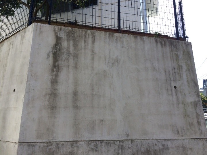 苔が繫殖した擁壁の状態