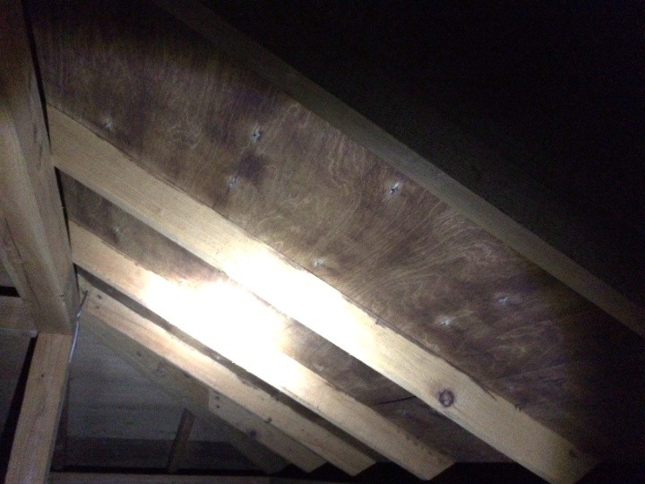 小屋裏の野地板に雨染みを確認