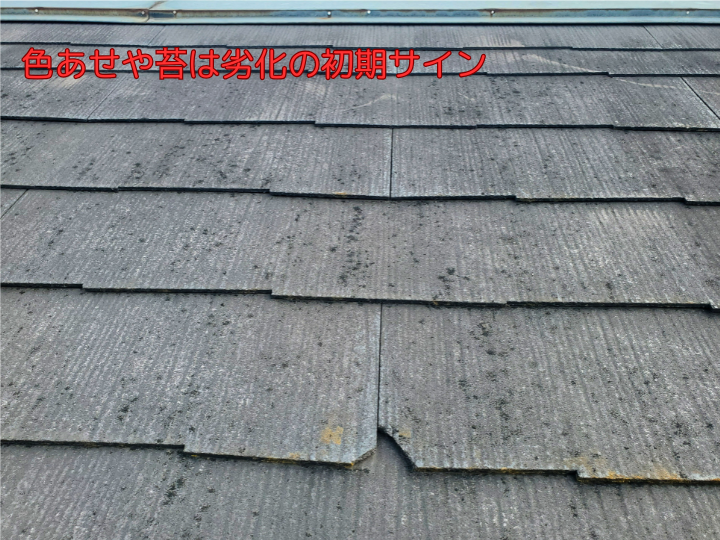 色あせや苔は劣化の初期サイン